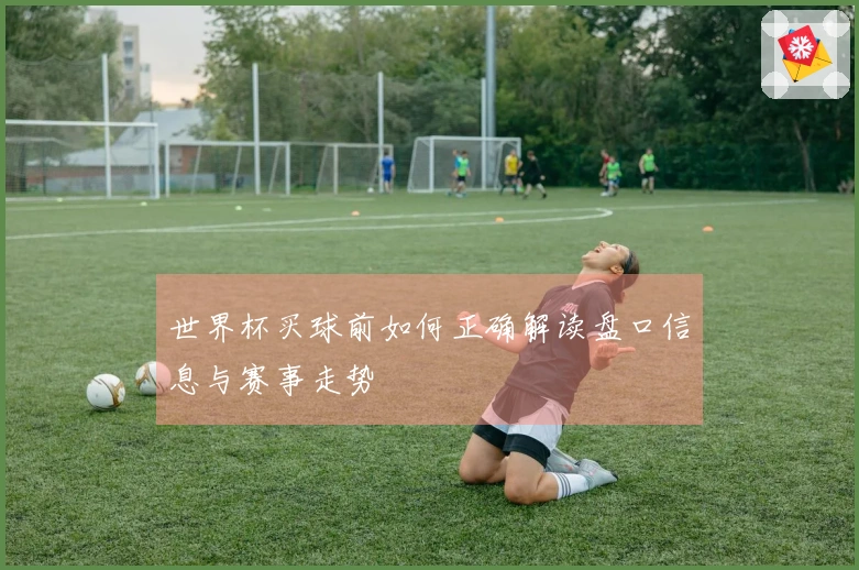 世界杯买球前如何正确解读盘口信息与赛事走势