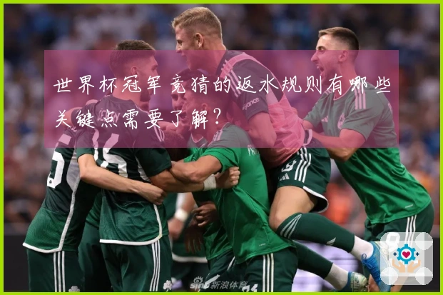 世界杯冠军竞猜的返水规则有哪些关键点需要了解？