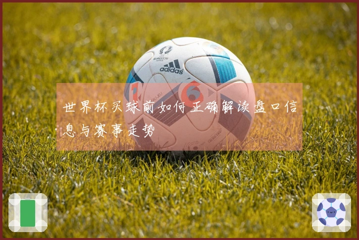 世界杯买球前如何正确解读盘口信息与赛事走势