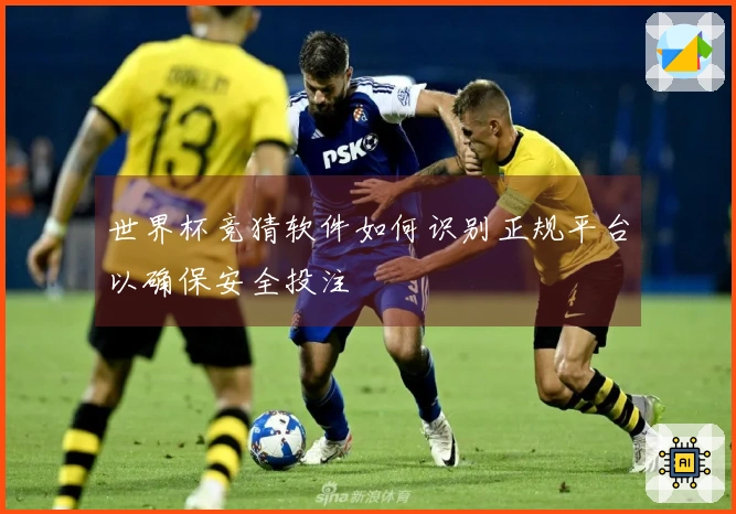 世界杯竞猜软件如何识别正规平台以确保安全投注