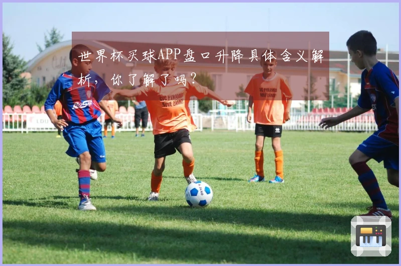 世界杯买球APP盘口升降具体含义解析，你了解了吗？