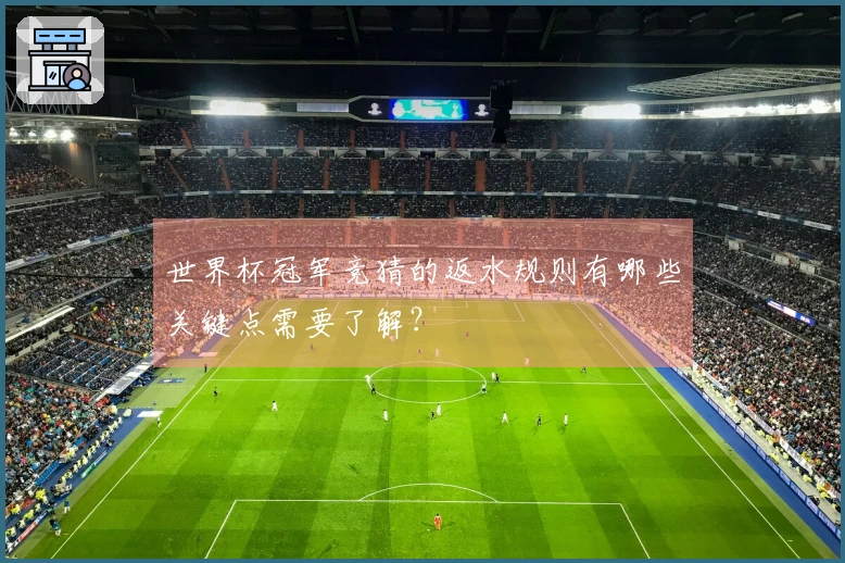 世界杯冠军竞猜的返水规则有哪些关键点需要了解?